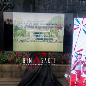 SEWA TV STANDING